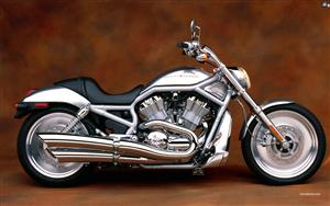 Harley Davidson